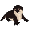 Bay Otter Pup