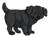Black Mastiff Puppy