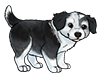 Wirehaired Mastiff Puppy