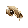 <a href="https://ketucari.com/world/items?name=Timeworn Skull" class="display-item">Timeworn Skull</a>
